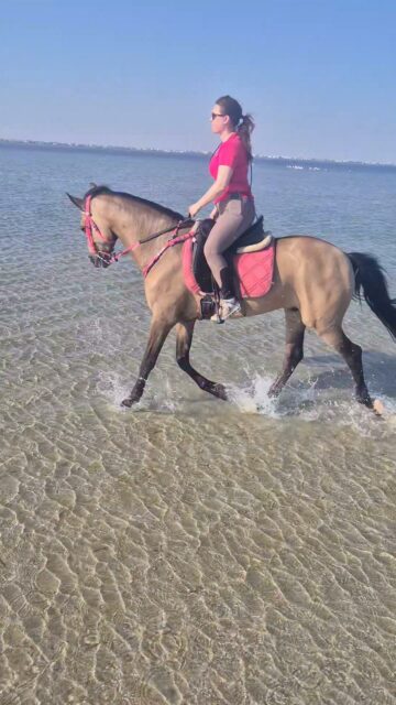 Wish you all a nice Friday
Just back from a nice ride to Flamingo Island 😍
www.reiterferien-haschgalull.de
#horseriding #horse #horseridingholidays #instahorse #horseofinstagram #Equestrian #equestrianlife #equitation #berberhorse #ridingonthesea #nicetime #djerbalove