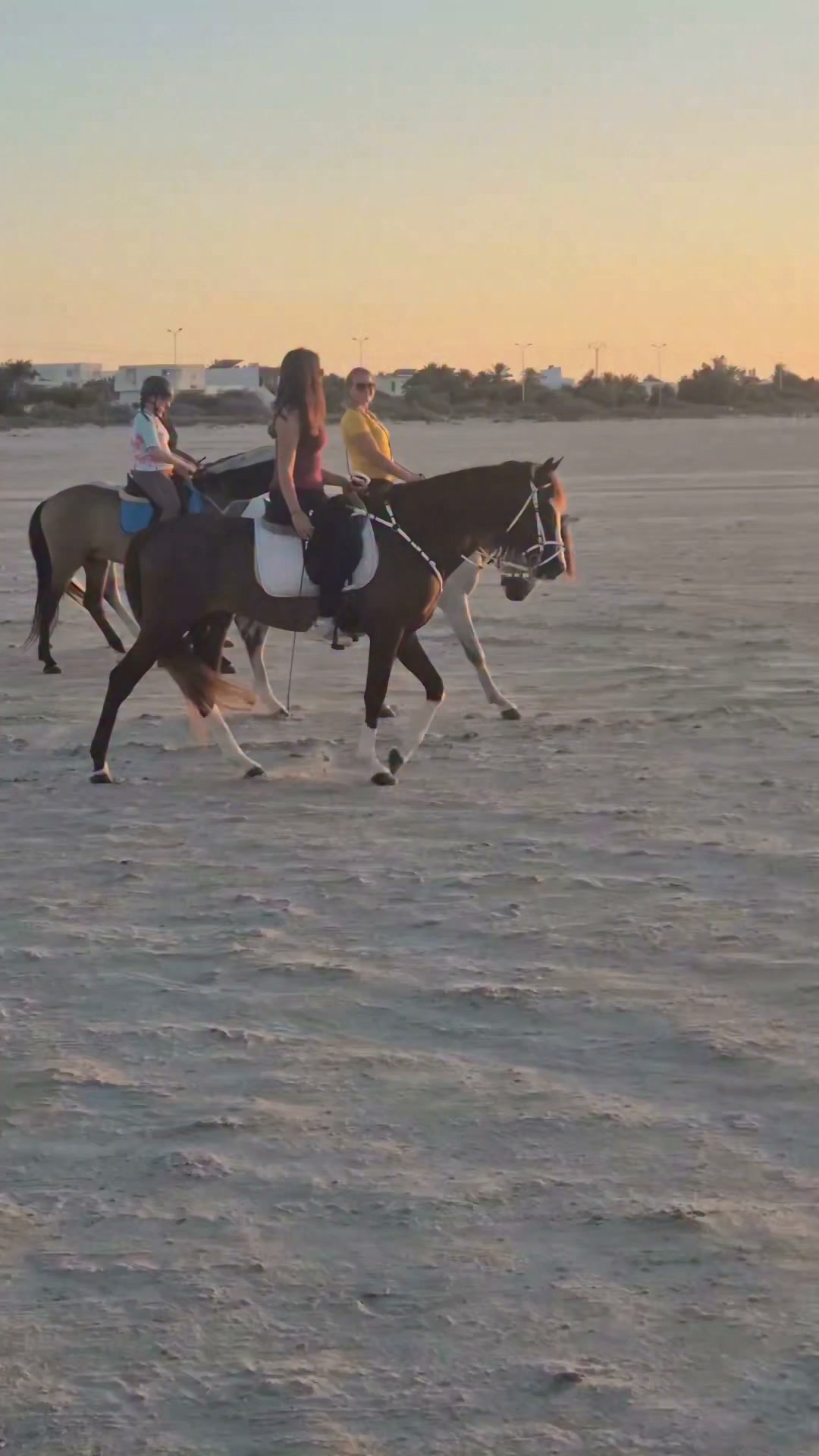 Wish you all a nice weekend 😍
Www.reiterferien-haschgalull.de
#horse #horseriding #horsebackriding #horseofinstagram #horselife #horseridingholidays #horseridersofinstagram #equestrian #equestrianlife #equitation #sunsetride #djerbalove