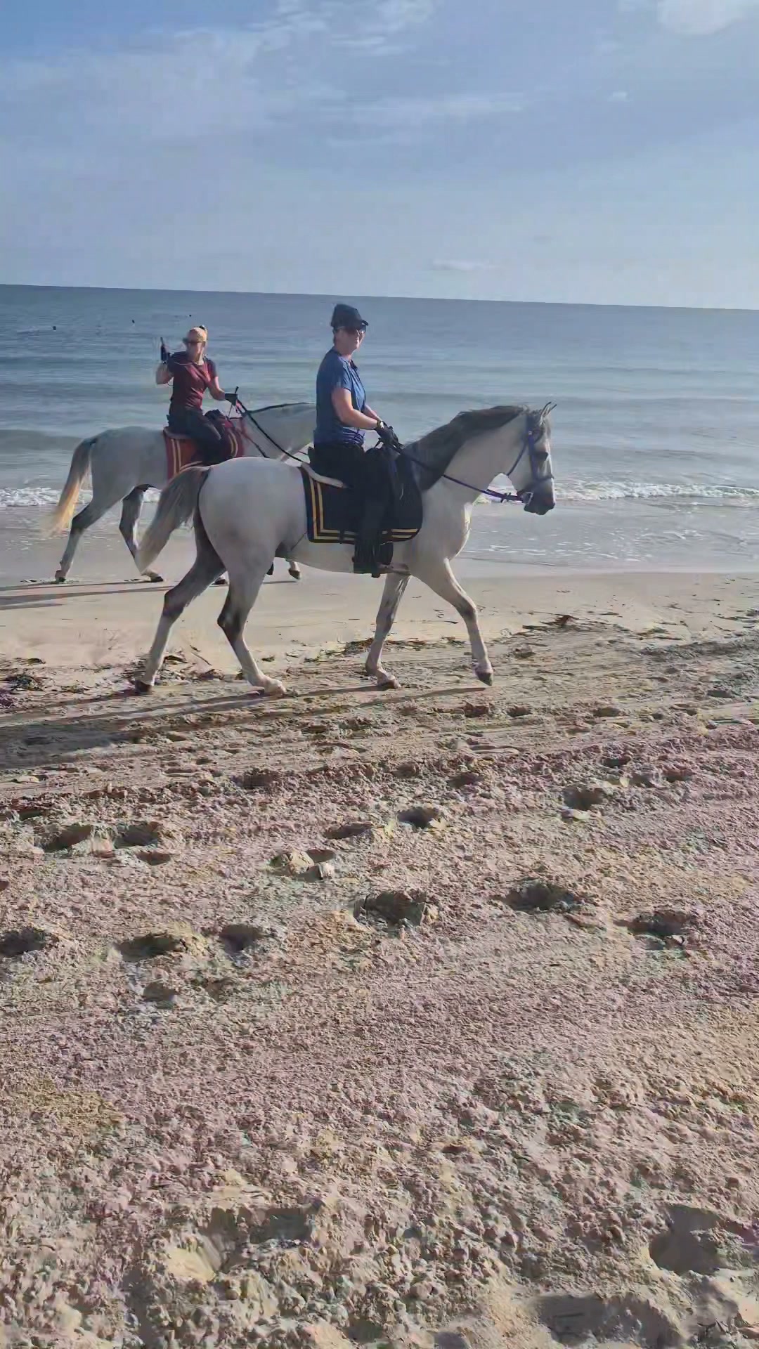 Hey dear friends, wish you'all a nice Friday 😍
Www.reiterferien-haschgalull.de
#horse #horseriding #horsebackriding #horselife #horseridingholidays #horseofinstagram #instahorse #equitation #equestrian #equestrianlife #equitation #djerbalove #𝗗𝗷𝗲𝗿𝗯𝗮