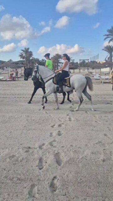 Wish you all a nice day 😍
Here is our morning ride, Jasmina Str with our berber stallion Carayel, Christina Nachtwey had our berber stallion Bailador and Vro Ni with our baby Milou 😍
Thank you for the nice time ❤️
www.reiterferien-haschgalull.de
#horse #horseriding #horseridingholidays #instahorse #horseofinstagram #blackbeauty #equestrian #equestrianlife #equitation #palomino #djerbalove