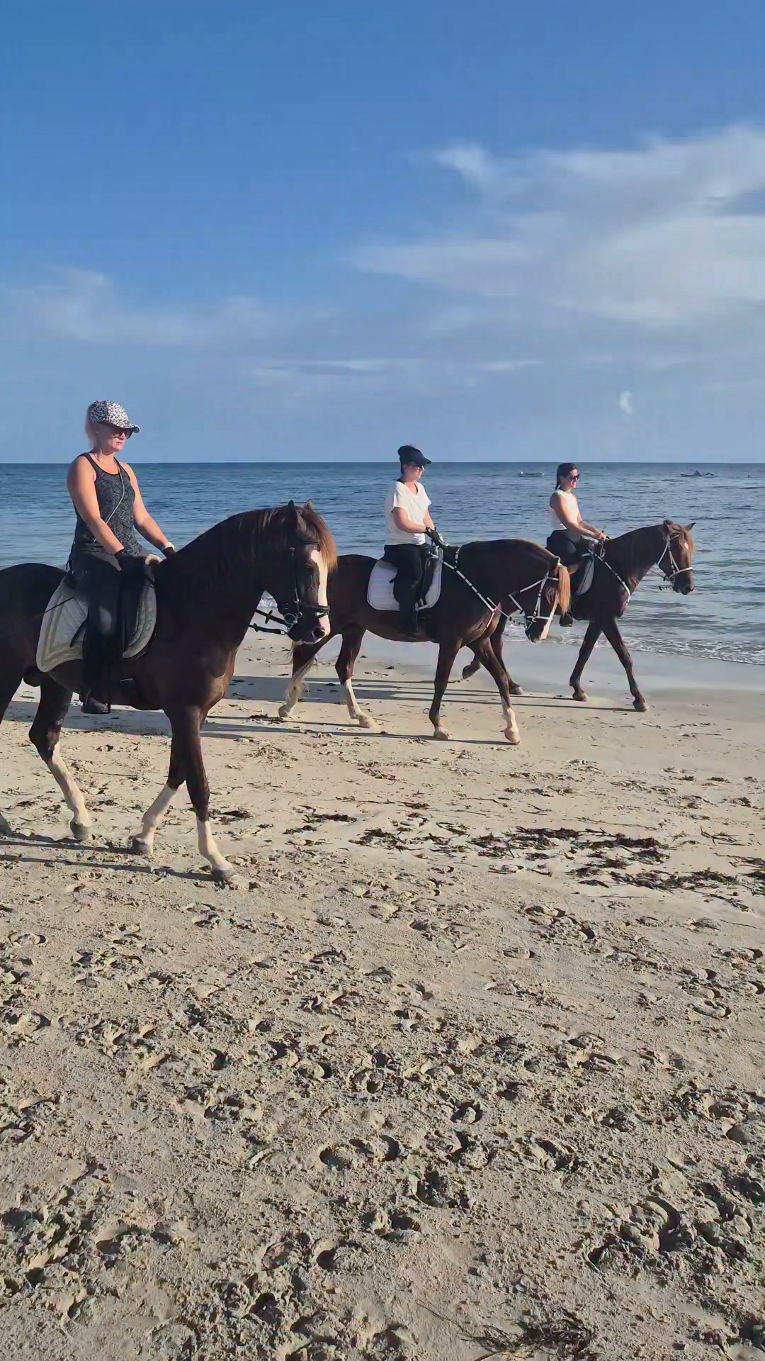 Good morning dear friends, wish you'll a nice Sunday 😍
Just back from a nice beach ride, Christina Nachtwey with our baby berber one Assyl, Jasmina Str had our berber stallion Edem and Vro Ni with our berber stallion Fakher 🧡
www.reiterferien-haschgalull.de
#horseriding #horselife #horsebackriding #horseofinstagram #horse #horseridingholidays #horseofinstagram #instahorse #djerbalove #holiday #Holidays #ridingonthebeach